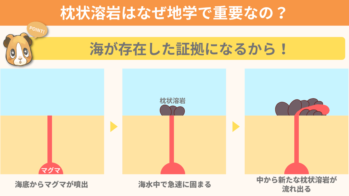 spEarthScience's tweet photo. 高校の地学基礎などでもよく耳にする『枕状溶岩』。海底で噴出したマグマが海水で急速に冷やされ、米俵のような形になった溶岩です。地学で枕状溶岩が地学で重要なのは『海が存在した証拠になるから！』枕状溶岩は38億年前の地層から見つかっていて、38億年前には海が存在していたと考えられています！ https://t.co/32mDShcZoI