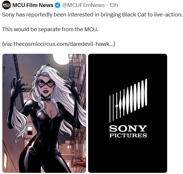 AmongCrisis's tweet photo. Interesting. We will finally get to have Black Cat in live action. Even if its not the MCU, I am still excited.

Who would you want Sony to cast as Felicia Hardy? https://t.co/4T0JGitbFe