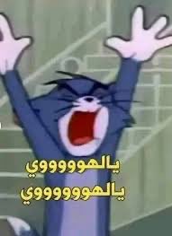wan5nvm's tweet photo. @li1il1 https://t.co/LunkwDu3vX