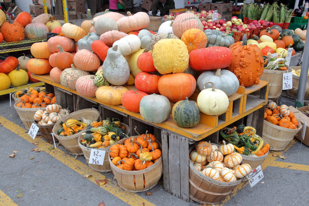 EIT's tweet photo. A basket of Bancroft apples — when maple is all around, it's nice to have something tart, even sour, close at hand — at Les Vergers Alain Dauphinais, Marché Atwater, Montreal. Also shown: the farm's eye-catching display of pumpkins and squashes. https://t.co/lLxdY8bS1C