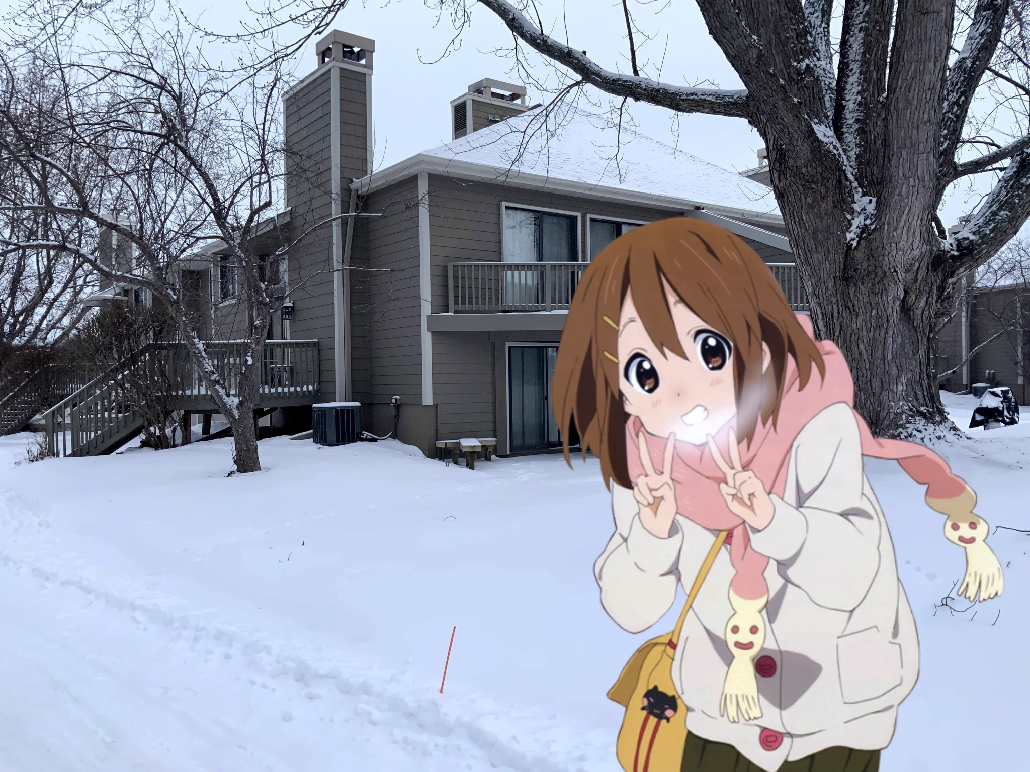 Bocchi is fun on X: 