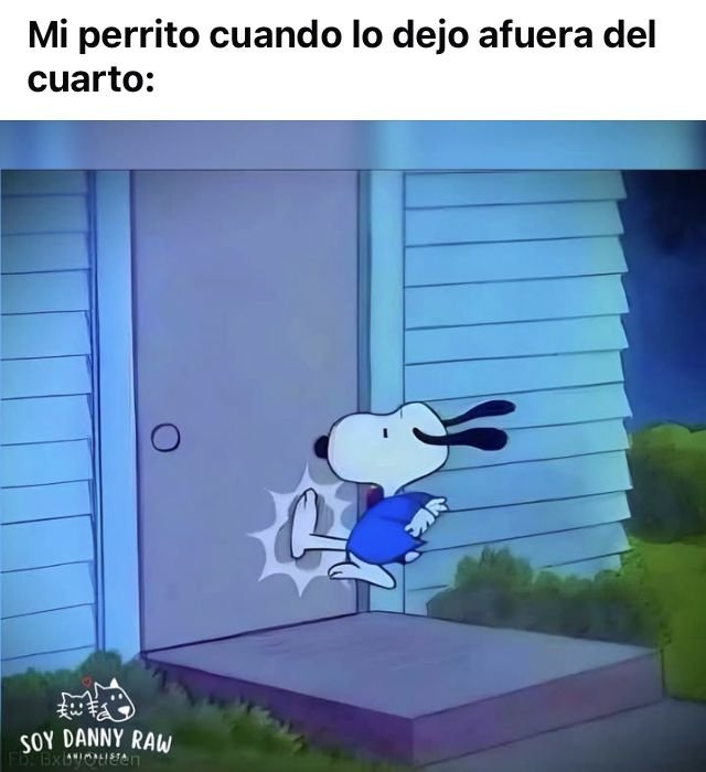 rey_latino33087's tweet photo. https://t.co/niXRww8UE6