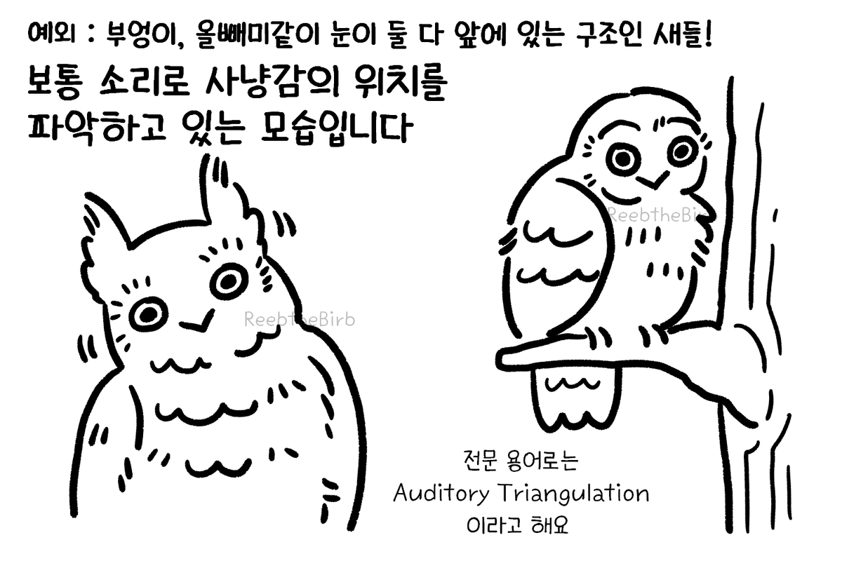 drawing_parrot tweet picture