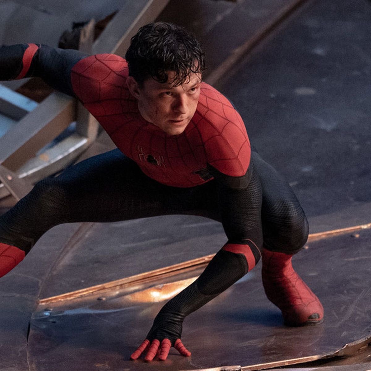 msalreiia's tweet photo. crazy how both spiders never interacted https://t.co/0fmt0pW6Ba