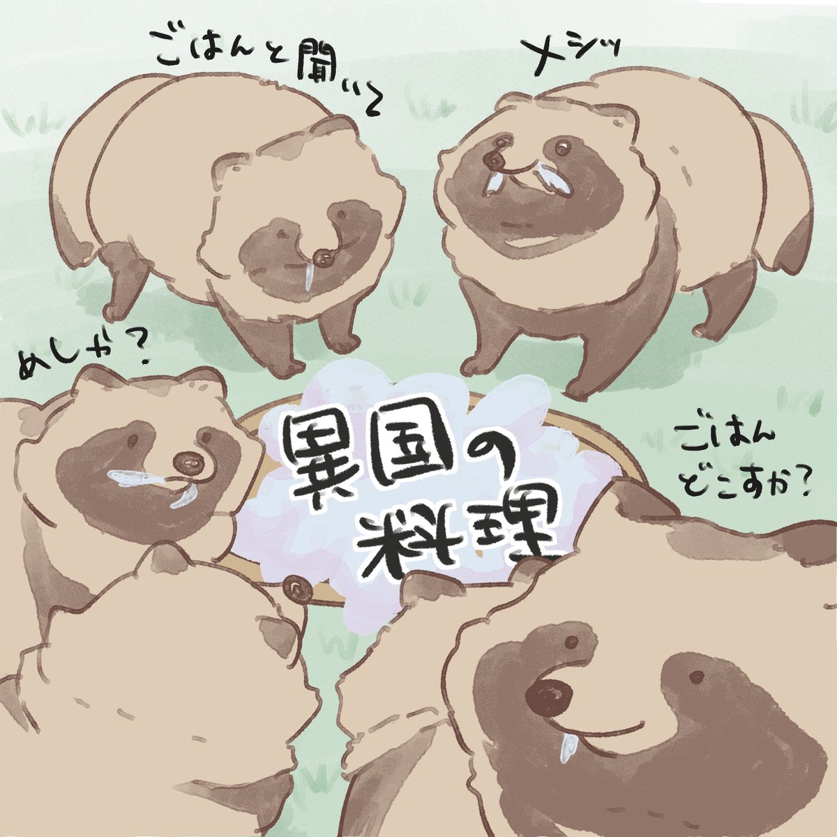 Py0wwK's tweet photo. #たぬき 
飯はどこですか？ https://t.co/qufmvnbIF0