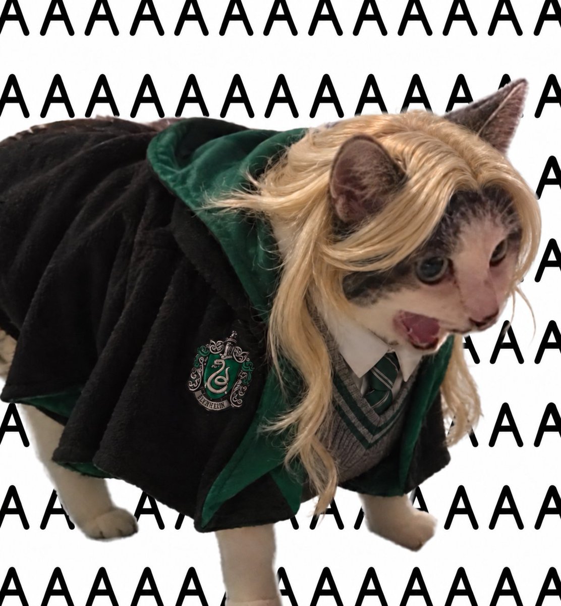 4rchangel07's tweet photo. IT'S #MALFOID MONDAY MY DUDES!!!!! Drop a recent fave of yours in the comments. NGL, I'm asking in case you show me something I missed out on. 🐍💚 https://t.co/rHOTHfHw8i