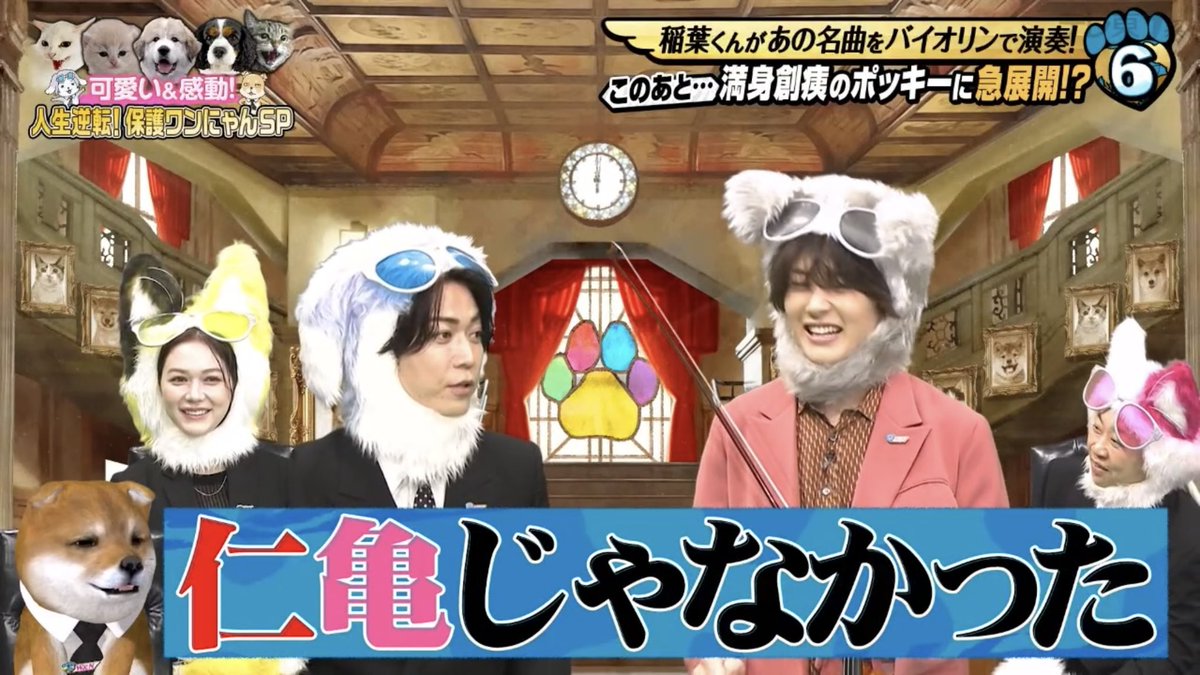 fa_620's tweet photo. わずか1年の間でこんなにも地上波に仁亀が映るなんて一体誰が想像できたか… https://t.co/Sgr2h9vSEL