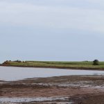 Photo by Canada Water Agency (@WaterAgencyCAN)
