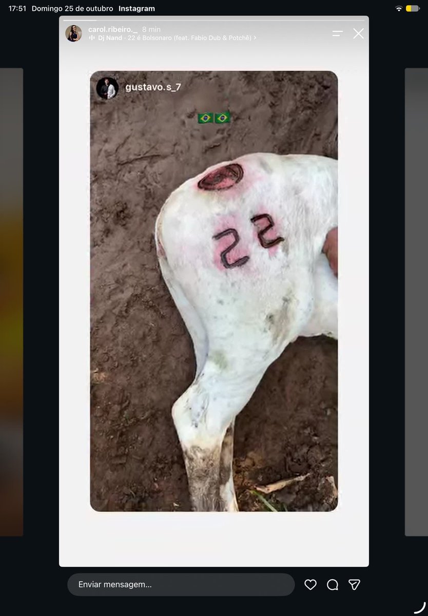 anittagolden's tweet photo. 🚨INADMISSÍVEL! Um médico veterinário fez marcação com o número “22” em um ANIMAL, ISSO É NOJENTO DE VER! 

COMPARTILHEM MUITO ISSO! https://t.co/XJMbMZeVvv