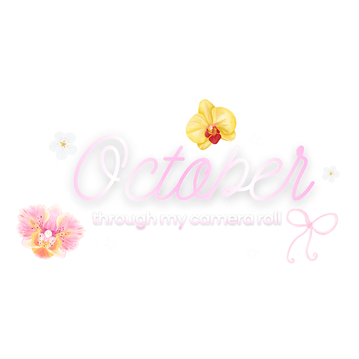 choostudioo's tweet photo. october dump png 🌺

⭐️ add yours template 𓇼⋆.˚
instagram :: choostudio
https://t.co/G8jrSiWFcy

free to use <333* https://t.co/SzbXEke410