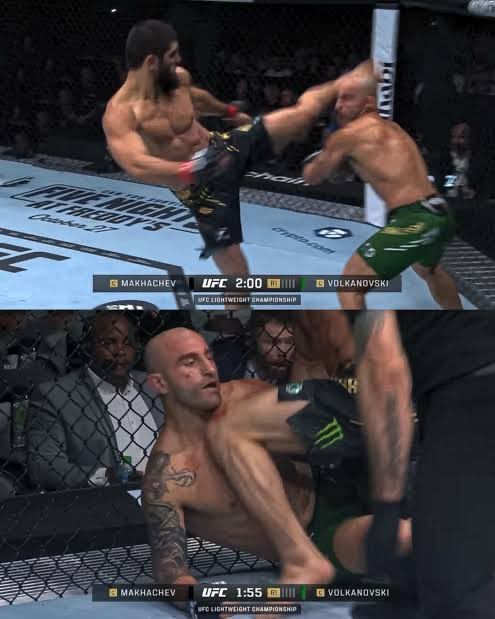 razorbillmma's tweet photo. @enesovat22 https://t.co/A2jhgxcKbS
