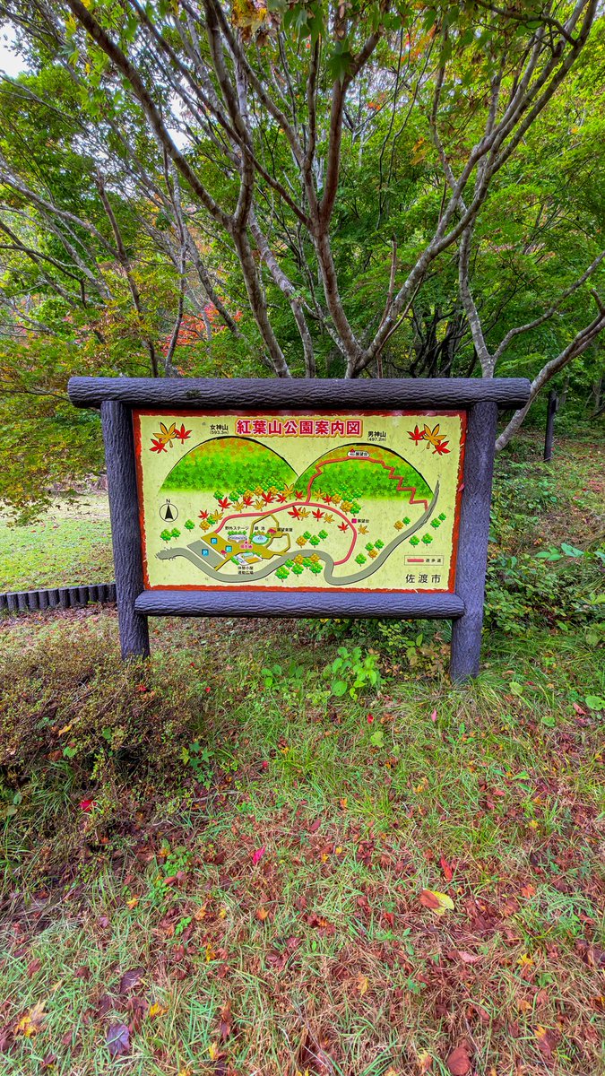 SADOlOVE1hm's tweet photo. 2026年R8年10月26日
場所　紅葉山公園
カメラ📸　docomo iPhone17

今日は、紅葉山公園下見しに行きました。紅葉を見る限り少しずつ色が変わり始めてる。
見頃が楽しみ https://t.co/YNtIfmVbdV