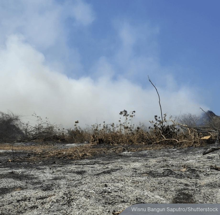 NewsBFM's tweet photo. Indonesian environmental NGO Walhi is planning to sue Malaysian plantation companies allegedly linked to transboundary haze from forest fires.

According to Malaysiakini, the companies identified include SD Guthrie.

https://t.co/SJnqqiww30

🧵1 https://t.co/14Xl1L0kNE