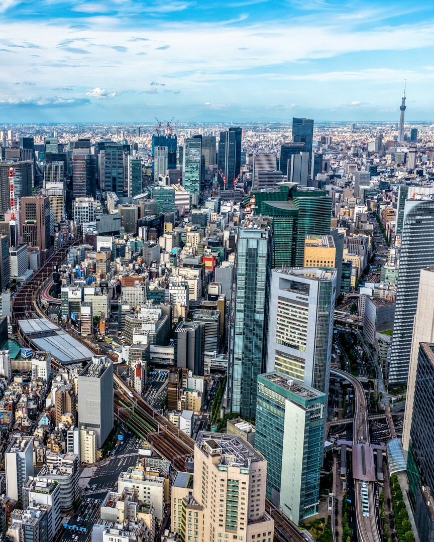 NatureRoot88's tweet photo. Tokyo, Japan 🇯🇵 https://t.co/gFLhihzvfA