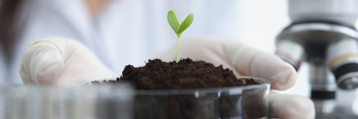 SeedWorldEU's tweet photo. What’s next for gene editing in Europe? Vylor’s Teresa Babuscio discusses NGT regulation, international trade, biofuels and the future of seed innovation.
#GeneEditing #NGTs #SeedIndustry
https://t.co/nJQDMgLRNr https://t.co/DxgJdq0C2f