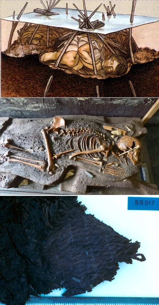 MoundLore's tweet photo. A Florida pond preserved human brain tissue for more than 7,000 years. Construction equipment found the cemetery in 1982 while a subdivision road was being built.

This was Windover, near Titusville. Archaeologists recovered the remains of at least 168 people. Ninety-one had preserved brain tissue.

But spend a minute with what they were buried in. Some had been wrapped in handwoven textiles before being placed beneath the shallow water and into the peat. Wooden stakes held a number of the burials in place. The people tending this cemetery were handling fabric, folding bodies and securing them beneath the pond.

The peat preserved work that almost always disappears: cordage, woven material, wooden implements. Researchers could examine how fibers had been twisted and how threads crossed one another. Different weaving techniques survived in the same cemetery.

That changes how much of ancient America you can picture. At a dry site, a stone point might survive while the cord that fastened it, the wooden shaft and the bag it traveled in all rot away. You inherit the durable pieces and have to reconstruct the rest.

Windover kept some of the rest.
Its excavation director, Glen Doran, made a point I wish appeared beside more museum cases: these kinds of perishable objects belonged to a much wider world. Exceptional preservation lets one place show you what other sites have lost.

The developers rerouted the road. Part of the cemetery was left unexcavated.