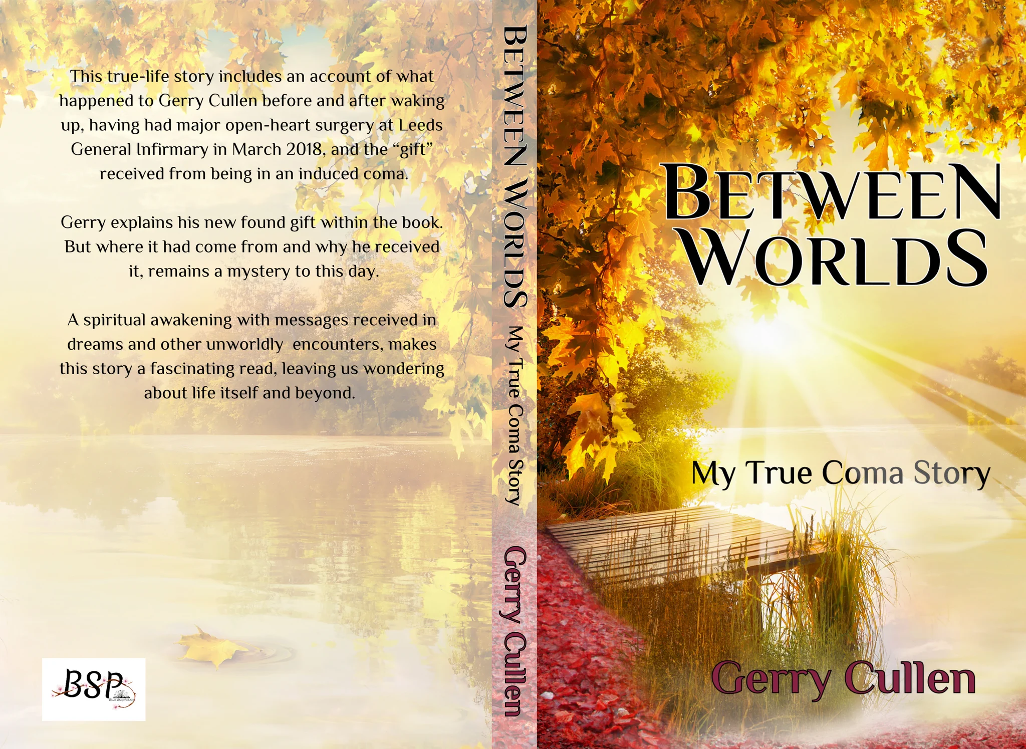 Gerry Cullen TV series/Film writer/Author on X: 