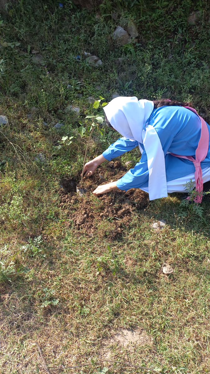 kittyblossom050's tweet photo. 🌱 Growing a Greener Future! Dr. Sadiq Foundation, in collaboration with FDE, has completed four phases of its plantation drive, distributing 1,710 plants across 49 schools in Islamabad. 🌿

#DSF #FDE #PlantationDrive #GreenIslamabad https://t.co/khbKSGiQxY