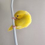 Photo by 🐦늘🦤듬직🦜티티🐤뾰뾰🐦‍⬛벼루 (@beyondmyday)
