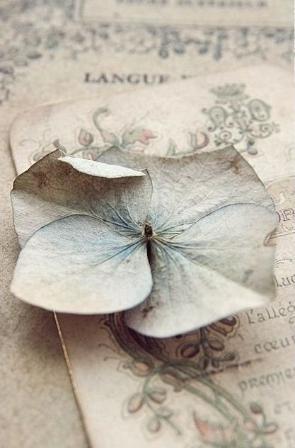 Lovely___Ibiza's tweet photo. https://t.co/9uL4UU0qiP