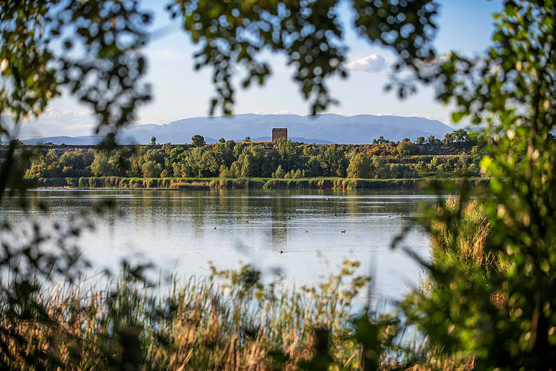 aralleida's tweet photo. De les oliveres de les Garrigues 🫒 als paisatges de l’Urgell, el Pla d’Urgell, el Segrià fins a la monumental ciutat de Lleida 🏰.

Al Tram 2 del #GrandTourCatalunya 🚗 descobriràs la diversitat de les #TerresdeLleida, entre paisatges agrícoles, història i tradicions locals, #AmbTotaNaturalitat 🌿

➡️ https://t.co/RnDZgOEAvG

#AraLleida #BiosphereGoldDestination 🌱 #ADNLleida 💚🌍