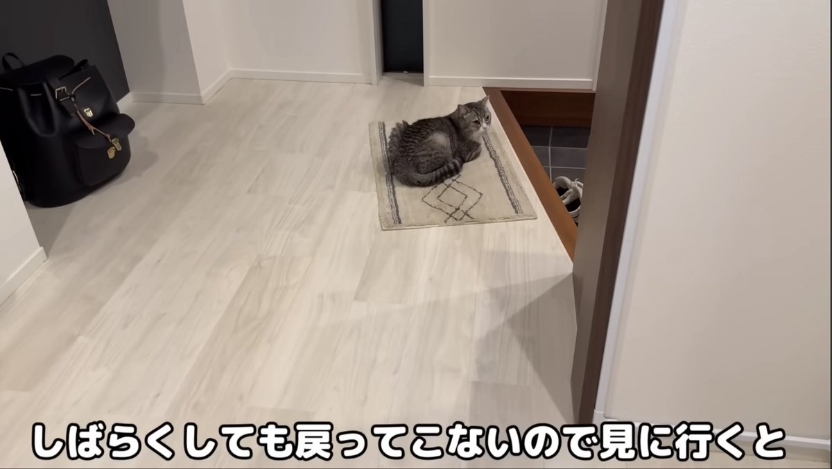 PkWi6's tweet photo. 内容の流れも同じですね。玄関でもちくんが座ってなかなか戻らないんですよね。いつもなら庭で散歩ですんでますが、玄関の方に行きたがるのは外に出たいんだと思います。
前から、とにかく下僕から離れたいのではという予想もされてますが… #もちまる日記 https://t.co/OVZ3Fg2pgK
