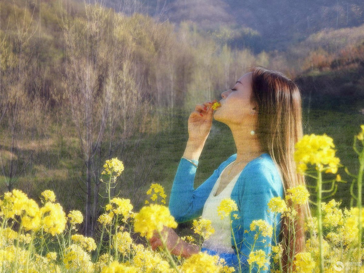 FeliceMbc's tweet photo. [春の風が頬を掠め、眠たい目をこする今日は、新しい一歩を踏み出そう]， https://t.co/Esv5AleLno