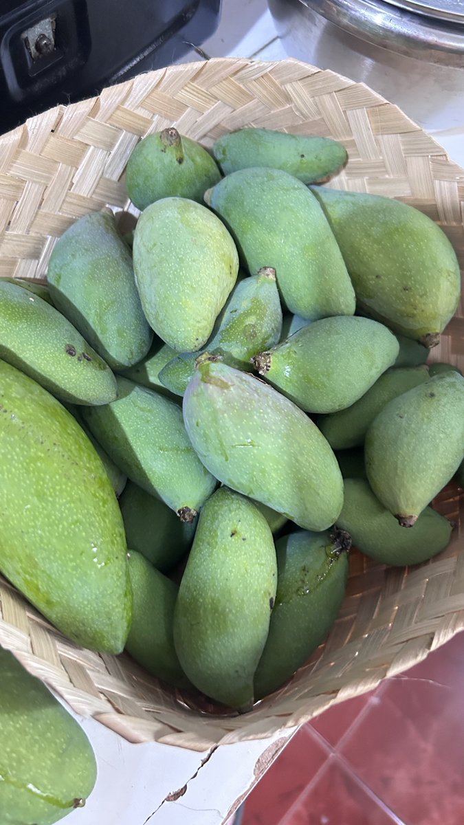 funneych's tweet photo. kemarin ke kebun lagi dan nemu banyak mangga yang jatuh sebelum waktunya, akhirnyaa aku merealisasikan ide dari ka anggg 🤣🤣🤣

sambel pencittttttt here we gooooo 🥭😎😋 mam pake ayam goreng &amp; lalap yumzzz 🤤 https://t.co/mXNZnpkjtL