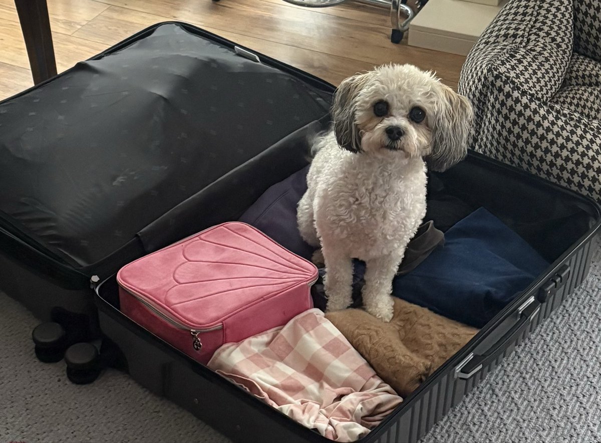 DigDeepMike's tweet photo. Next time they are coming with us 😢 https://t.co/TXJJhjLMCx