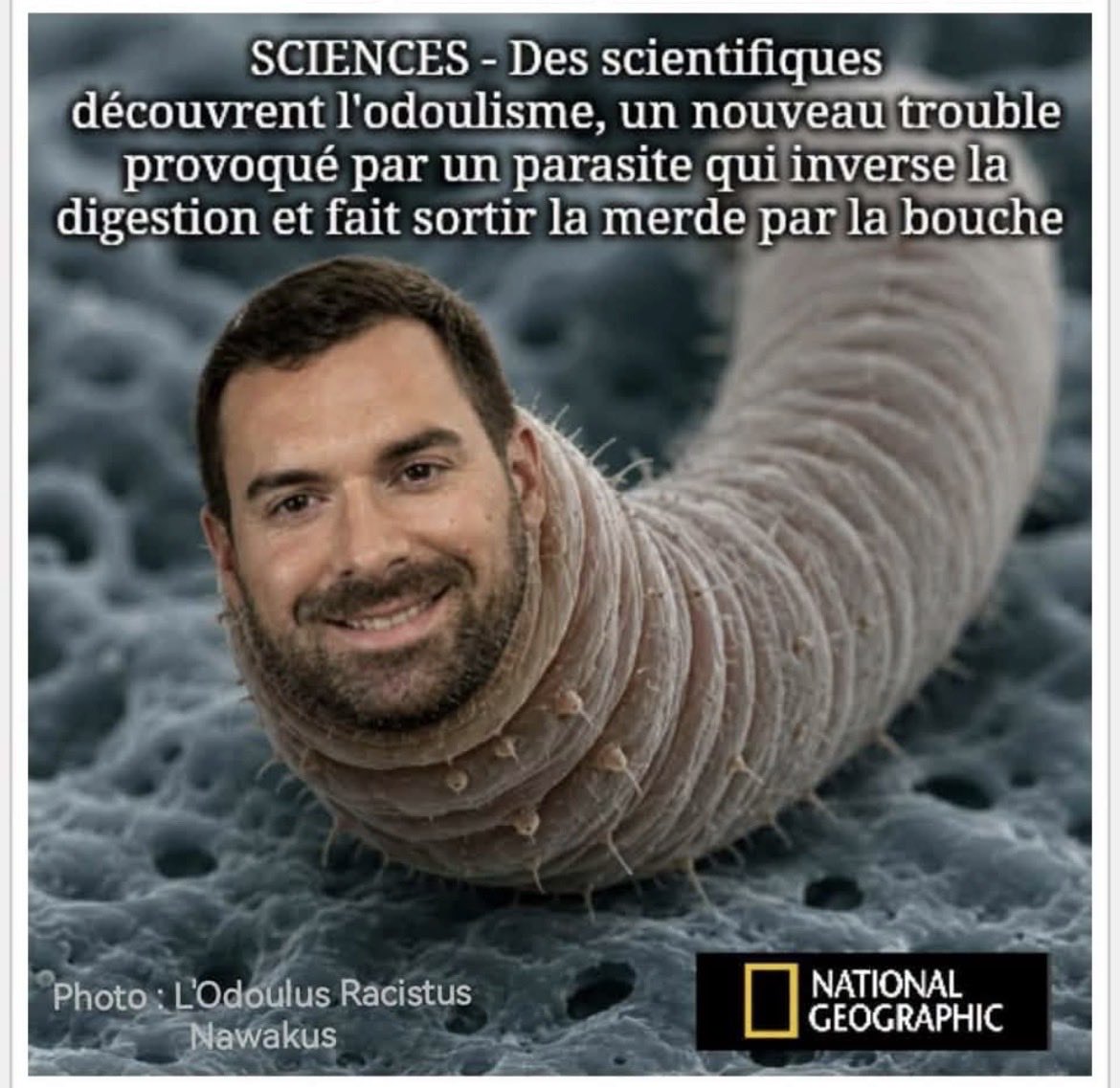 Robbieone11's tweet photo. @JulienOdoul @MLP_officiel @SudRadio https://t.co/qklhZP41Pn