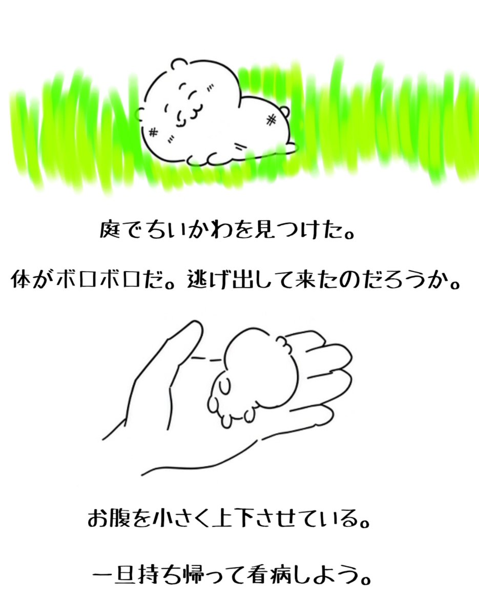 mg0alc's tweet photo. 野良ちゃんを拾う話①
#ちい虐 https://t.co/L8b5fMNeLF