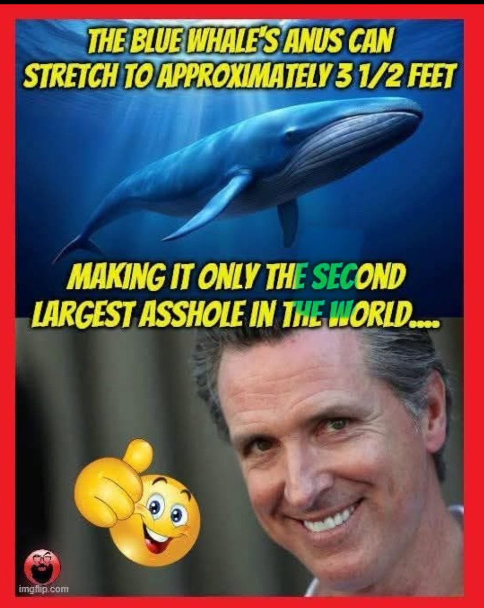 MikeMi10843's tweet photo. @ImaPatriotGal2 Because the face fits: https://t.co/g8j3DLCcSq