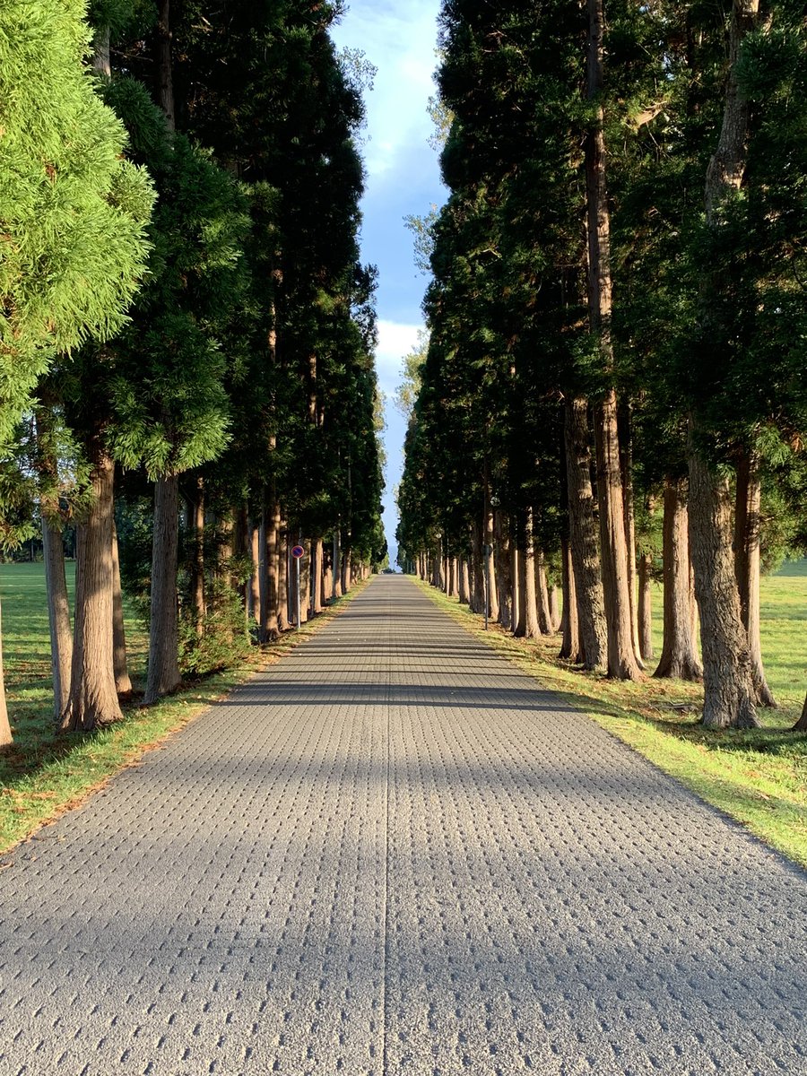 liver_com's tweet photo. トラピスト修道院。 https://t.co/NgsXBsK3fv