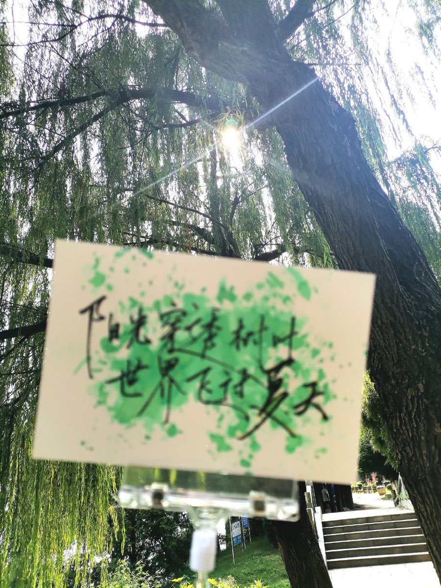 ce280821's tweet photo. [炮欣捍仕の文字が映える！日常にちょっとの特別をプラスする瞬間]， https://t.co/wILScSiIhv