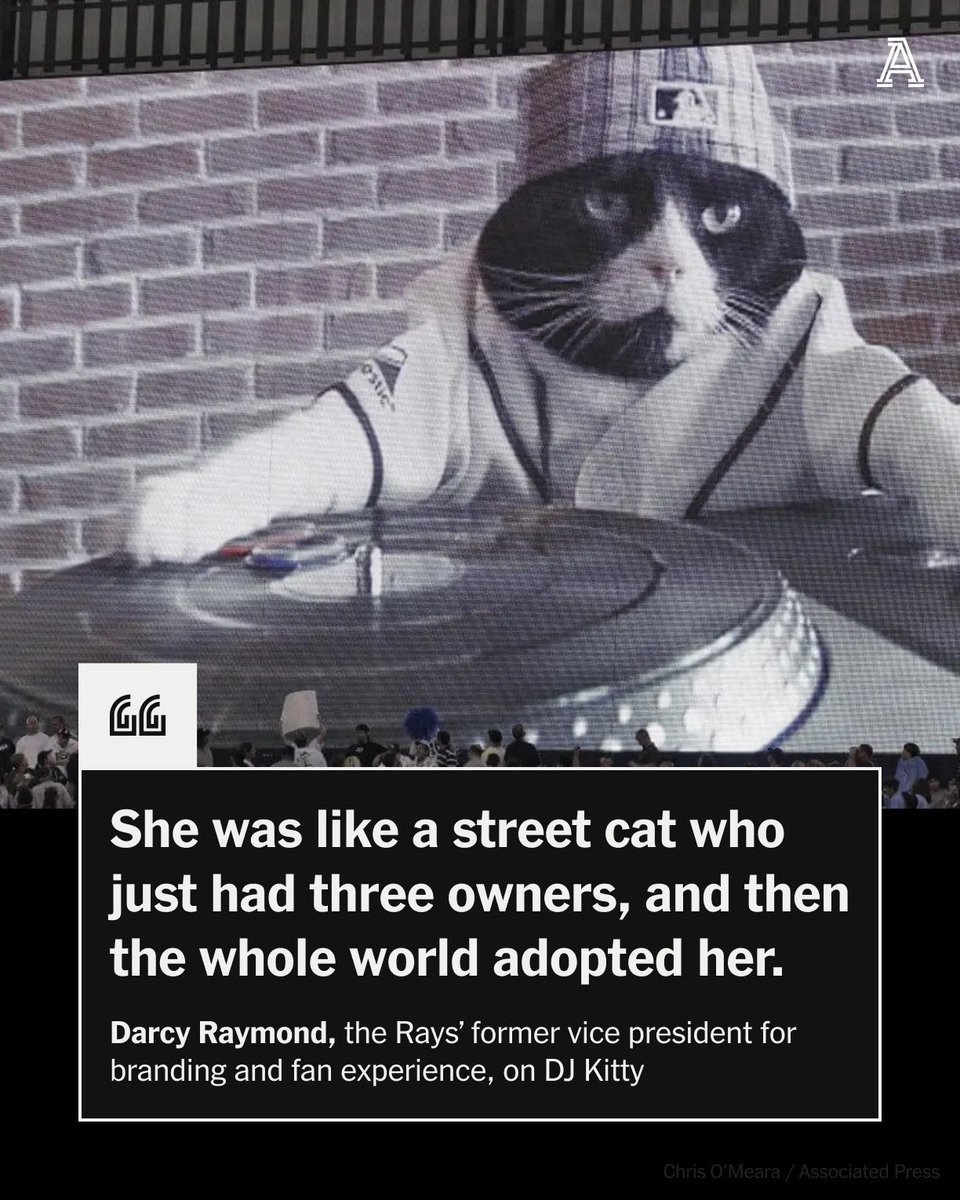 TheAthletic's tweet photo. The Rays might need all nine of DJ Kitty's lives to claw back into the World Series 🐱🎧

DJ Kitty has been a Tampa Bay fan favorite for over 15 years, but her rise to stardom began with a rescued cat, a Walmart turntable and an 80-second video.

The story behind the Rays' unlikely icon:
https://t.co/UuOkTLMpr6