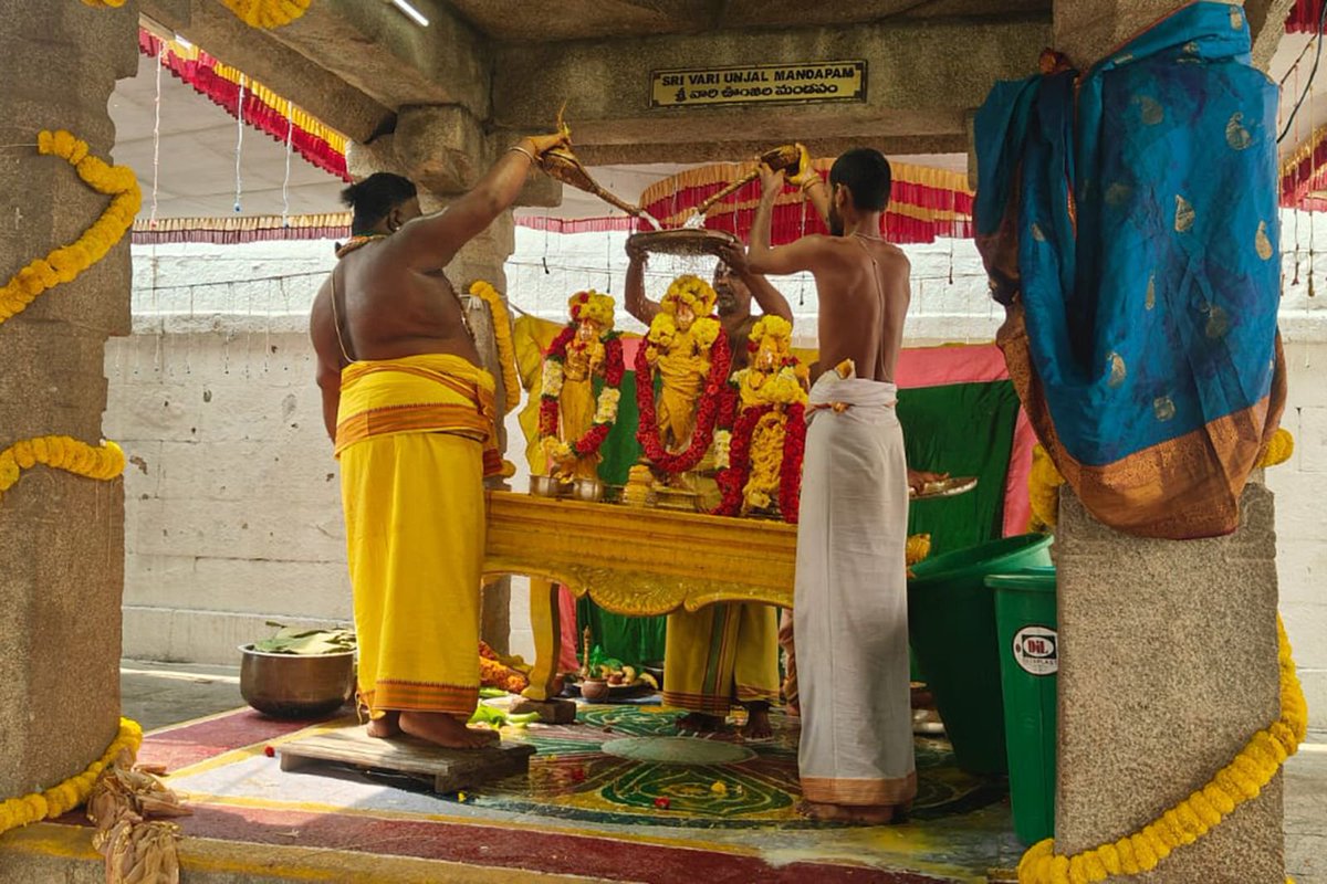 TTDevasthanams's tweet photo. వాల్మీకిపురంలోని శ్రీ పట్టాభిరామస్వామివారి పవిత్రోత్సవాలు శాస్త్రోక్తంగా పూర్ణాహుతితో ఘనంగా ముగిశాయి. ఈ పవిత్ర క్రతువులో పాల్గొన్న భక్తులు స్వామివారి ఆశీస్సులు పొందారు.

#TTD #Valmikipuram #SriPattabhiramaSwamy #Tirupati #TTDofficialupdates https://t.co/VQMeyWNCFr