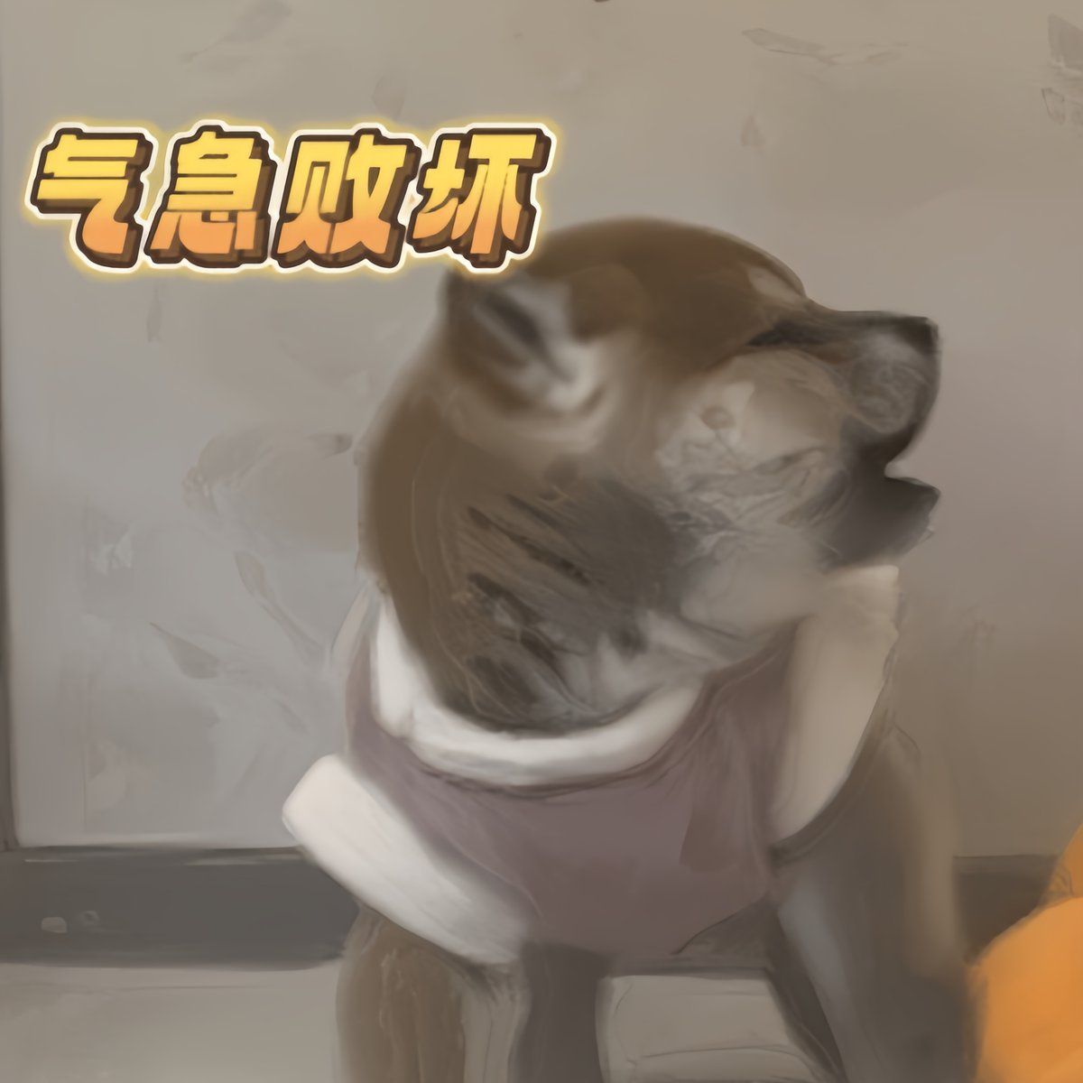 H_Hrainbow's tweet photo. 「冠准という名前の犬が他の犬と大喧嘩中！」， https://t.co/CbbZJ3N9yU