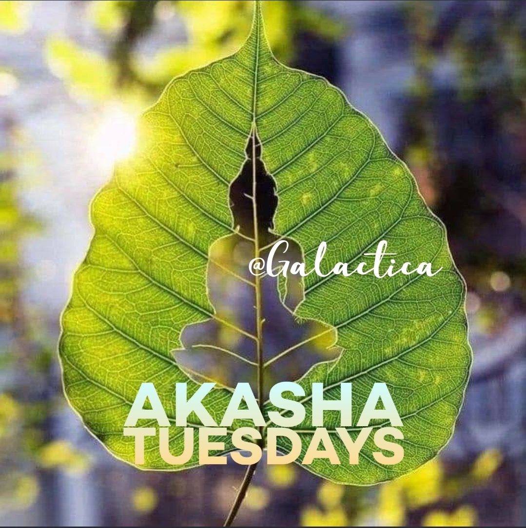 galactica82533's tweet photo. Hi everyone in Gratitude Unleashed! I'm back on my #AkashaTuesday Spaces as your #spaceshost, and I'll post the space later today. Just wanted to share a post with a question here to get you thinking about it! Hope I see you tomorrow! https://t.co/qyDI00X6QU https://t.co/1ziYkQqyuZ