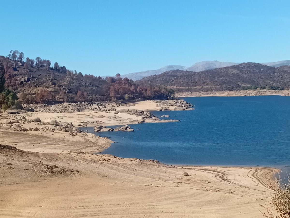 ChavaLibro's tweet photo. Incursión en el Valle del Alberche donde hemos encontrado las zonas más afectadas por el #IFBurgohondo

Terrible el panorama que hemos encontrado en El Tiemblo y el valle de Iruelas. https://t.co/TonVTUlchX