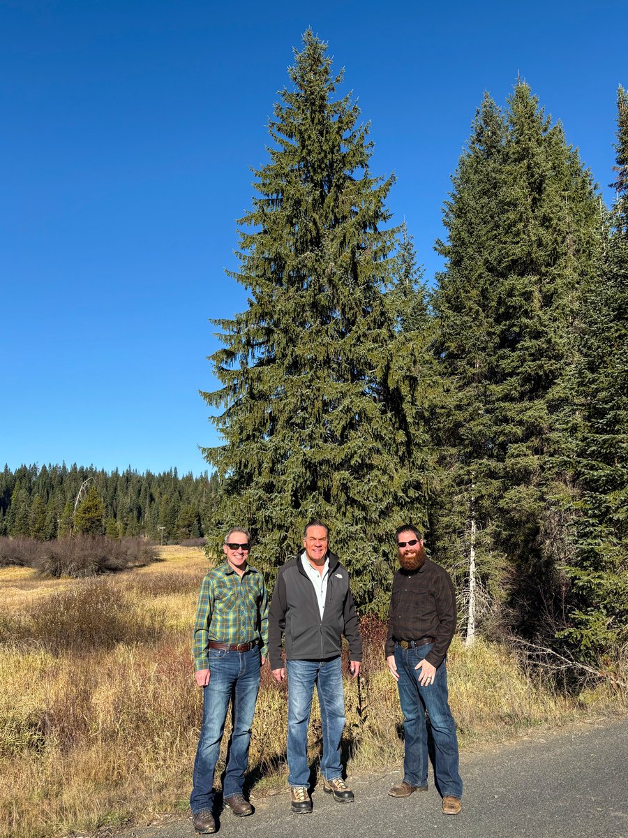 A photograph of three men standing together beside a grassy field and a road, with tall evergreen trees and a clear blue sky behind them. The image contains no visible text.
