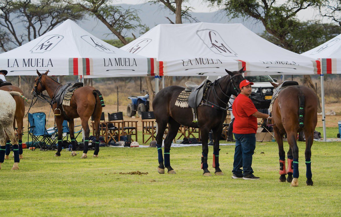 EmbARGENTINA's tweet photo. 🇦🇷🐎🇳🇦 ¡El polo argentino crece en África!

🏆 Entregamos la Copa Embajada Argentina en La Muela Polo Club, Namibia, promoviendo nuestros caballos, talento y productos para el sector.

Más info en https://t.co/sXdXuh77BT https://t.co/sLx0OACV4a