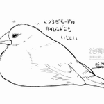 Photo by 淀嘴 咲丸🪶北ﾃｨｱG09 (@bell7545)