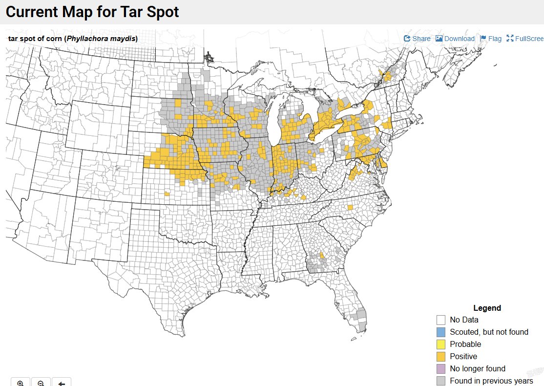 Channel_SD's tweet photo. Tar Spot (TS) positive counties in SD in 2026.  TS overwinters in crop residue &amp; is a threat to yield and standability year after year if conditions favor an early onset. Budget a fungicide application should TS get an early start in your crop #DelaroComplete https://t.co/kSxyOWiUB6