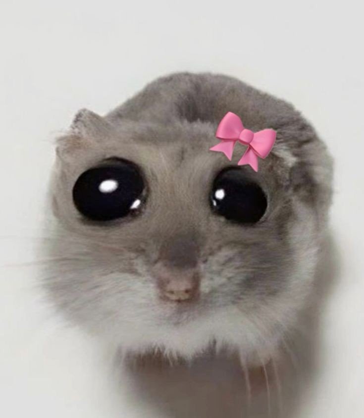 YohaMore25's tweet photo. Gente dejen de pelear o de tirar mierda AJAJAJAJA
Esto NO ES REAL, tampoco es un ship y no, no estoy escribiendo un wattpad solo rianse y tómenlo como Humor 😗🫵 https://t.co/KfdNIzROls