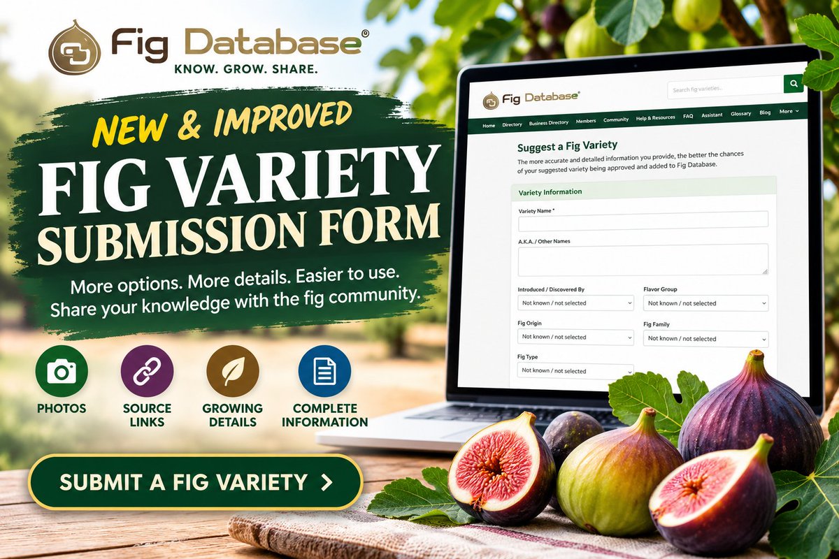 figdatabase's tweet photo. A new way to contribute to the fig community is here. ๐ฟ
Submit missing fig varieties with photos, growing details, history, and source links through the improved Fig Database form.
https://t.co/ZCEHKS60ax
#FigDatabase #FigVarieties #FigCommunity https://t.co/NKfLXZw2yX
