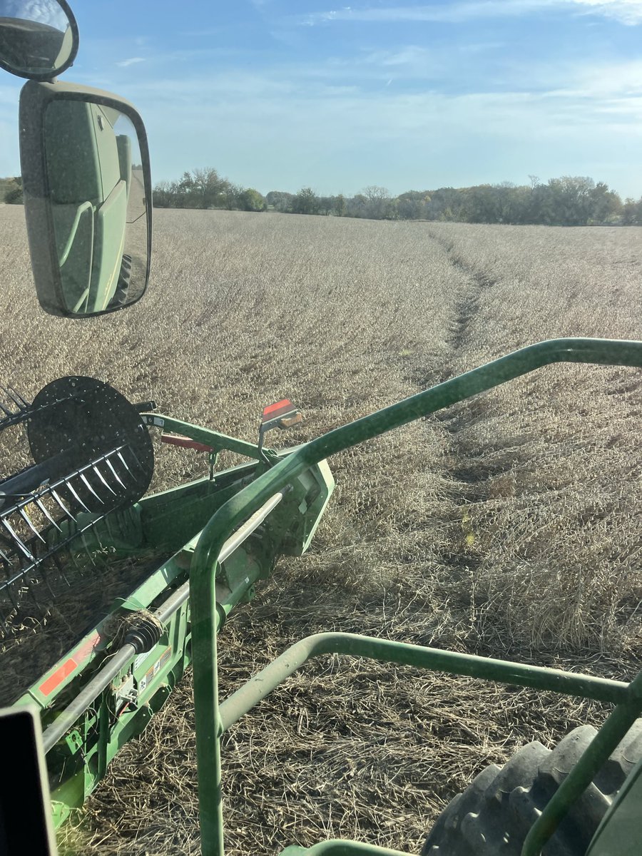 pkcainfarms's tweet photo. An old fence line the deer always walked up fence lines been gone about 10 years, but the damn deer still follow it. Old habits are hard to break right https://t.co/LvZG0xUNCN