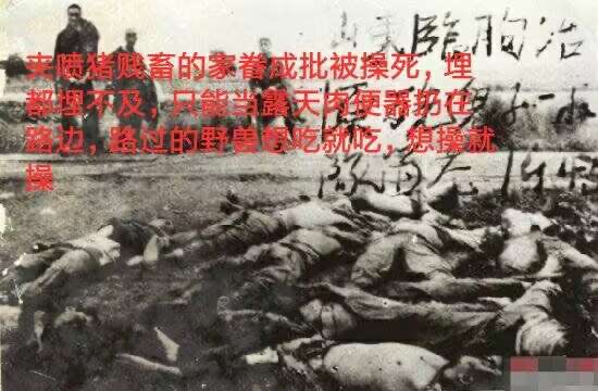 Cael00001's tweet photo. @LXinye1989 @goginscall15 @DXiaoping0408 @owthen22 @syx16588 @Titantvman6741 这傻逼东西已经被他日本爹给用鞭子抽傻了🤣🤣🤣你跟这畜牲不如的傻逼东西讲，是讲不通的，人跟畜牲说话，他妈的就是听不懂 https://t.co/VqiSgW677G