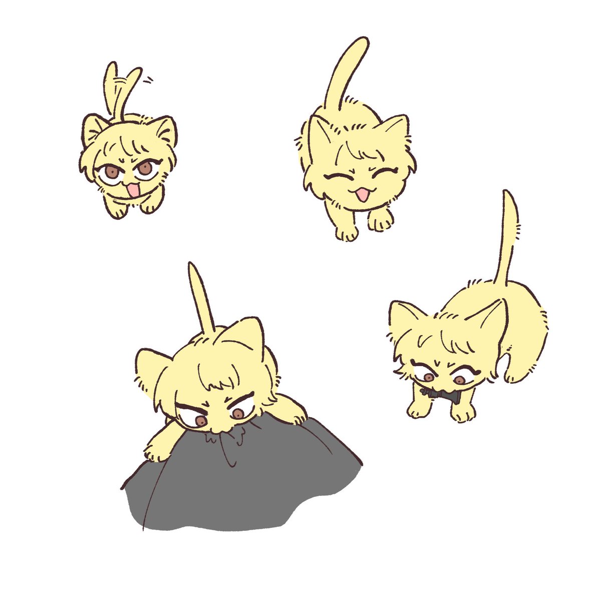 bn8bnd's tweet photo. ねこだいすき！けんこうあかうんと！ https://t.co/m2rnDVqGmZ