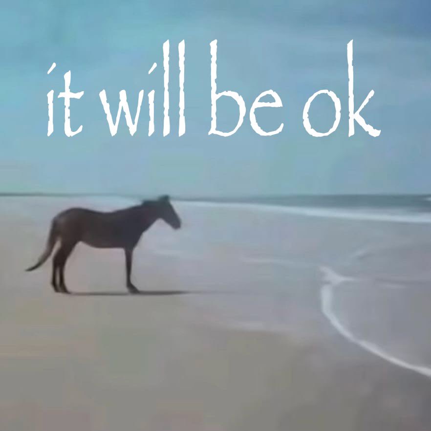 GoddisonNY_'s tweet photo. @AddisonDiscord average mood today 🤞🏼🐴 https://t.co/yU8lNWVzyj