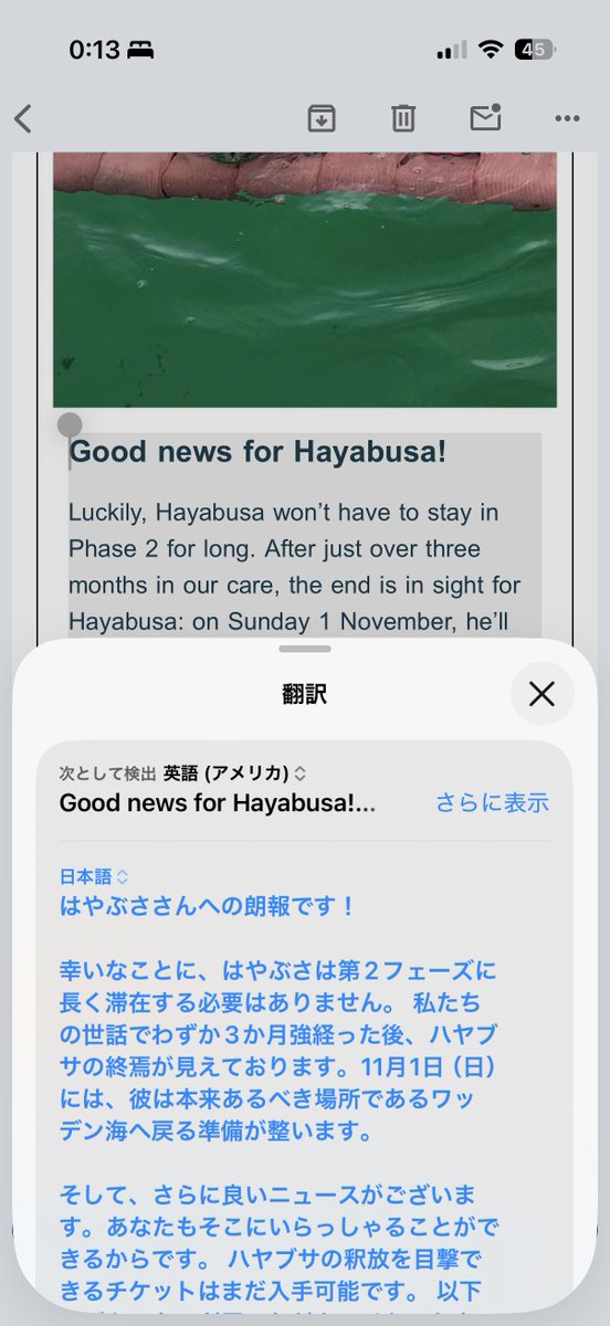 r_ruby_r's tweet photo. Hayabusaくん、ついに海へ帰る！！＼(^o^)／

11/1の日曜日にHayabusaくんが海に帰るよーーーー！！！！！！
7/28に保護されてから丸3ヶ月治療を頑張りました！👏

卒業までの間たくさんお魚たべてもっとぽよくなってね♡

#SaveWec #アザラシ幼稚園 #WecWaddenzee https://t.co/bPgInD50tN